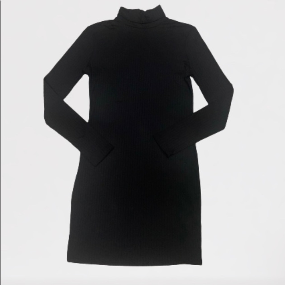Turtle Neck Body Con Dress